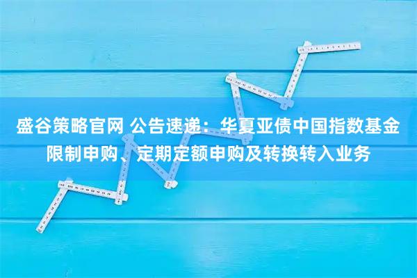 盛谷策略官网 公告速递：华夏亚债中国指数基金限制申购、定期定额申购及转换转入业务